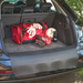 Car Boot and Bumper Protector Mat