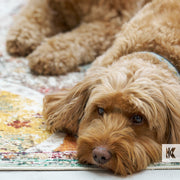 Brown dog lying on a colorful rug
